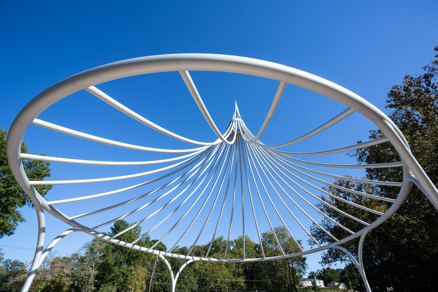 Cancer Survivors Park